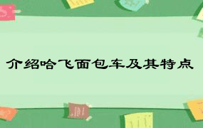 介绍哈飞面包车及其特点