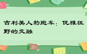 吉利美人豹跑车：优雅狂野的交融