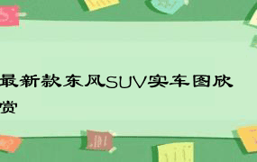 最新款东风SUV实车图欣赏