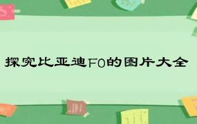 探究比亚迪F0的图片大全