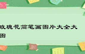 玫瑰花简笔画图片大全大图