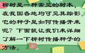 柳树是一种常见的树木，在我国各地均可见其踪影。它的种子是如何传播开来呢？下面就让我们来详细了解一下柳树传播种子的方法。