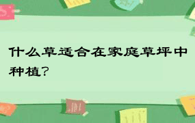 什么草适合在家庭草坪中种植？