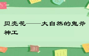 贝壳花——大自然的鬼斧神工