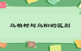 乌柏树与乌桕的区别