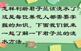 怎样判断君子兰该浇水了？这是每位养花人都需要掌握的知识。下面我们就来一起了解一下君子兰的浇水方法。