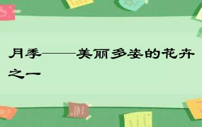 月季——美丽多姿的花卉之一