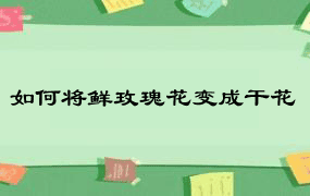 如何将鲜玫瑰花变成干花