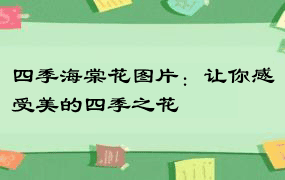 四季海棠花图片：让你感受美的四季之花