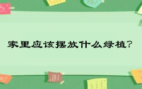 家里应该摆放什么绿植？