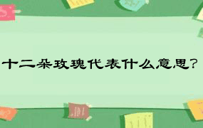 十二朵玫瑰代表什么意思？