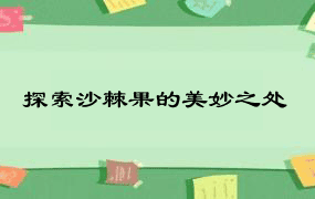 探索沙棘果的美妙之处