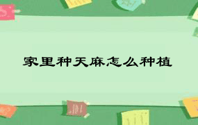 家里种天麻怎么种植