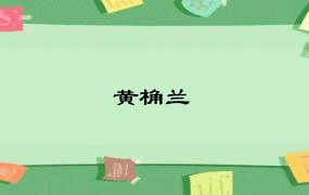 黄桷兰