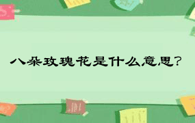 八朵玫瑰花是什么意思？