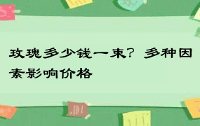 玫瑰多少钱一束？多种因素影响价格