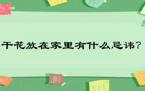 干花放在家里有什么忌讳？