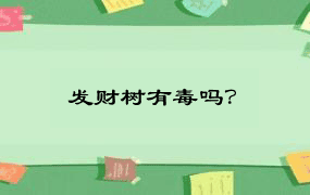 发财树有毒吗？