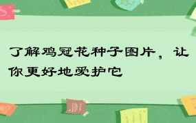 了解鸡冠花种子图片，让你更好地爱护它