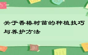 关于香椿树苗的种植技巧与养护方法