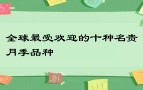 全球最受欢迎的十种名贵月季品种