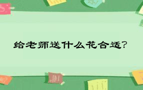 给老师送什么花合适？