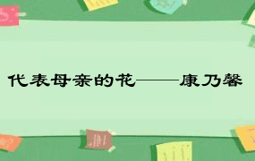 代表母亲的花——康乃馨