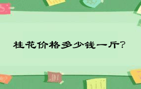 桂花价格多少钱一斤？