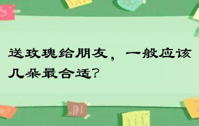 送玫瑰给朋友，一般应该几朵最合适？