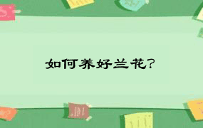 如何养好兰花？