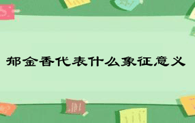 郁金香代表什么象征意义