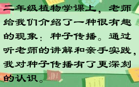 二年级植物学课上，老师给我们介绍了一种很有趣的现象：种子传播。通过听老师的讲解和亲手实践，我对种子传播有了更深刻的认识。