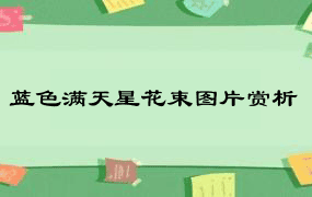 蓝色满天星花束图片赏析