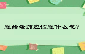 送给老师应该送什么花？