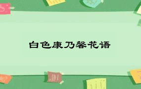 白色康乃馨花语