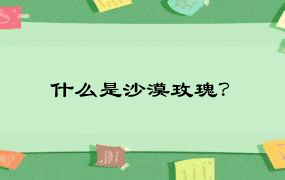 什么是沙漠玫瑰？