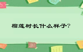 榴莲树长什么样子？