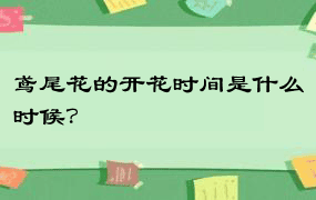 鸢尾花的开花时间是什么时候？