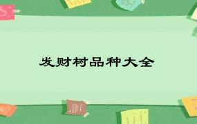 发财树品种大全