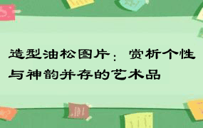 造型油松图片：赏析个性与神韵并存的艺术品