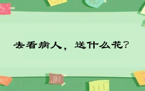 去看病人，送什么花？