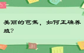 美丽的芭蕉，如何正确养殖？