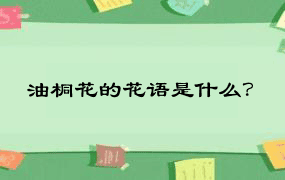 油桐花的花语是什么？