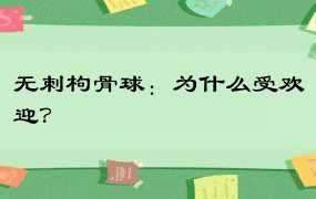 无刺枸骨球：为什么受欢迎？