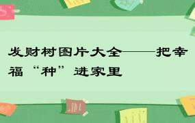 发财树图片大全——把幸福“种”进家里