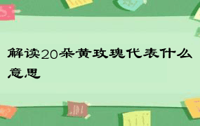 解读20朵黄玫瑰代表什么意思