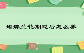 蝴蝶兰花期过后怎么养