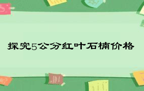 探究5公分红叶石楠价格