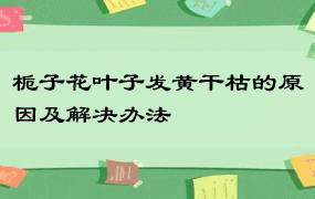 栀子花叶子发黄干枯的原因及解决办法