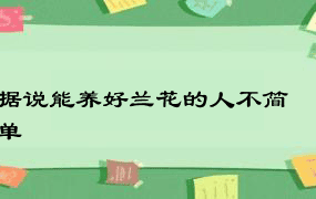 据说能养好兰花的人不简单